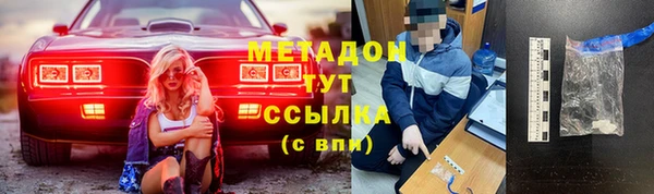 прущие грибы Арсеньев