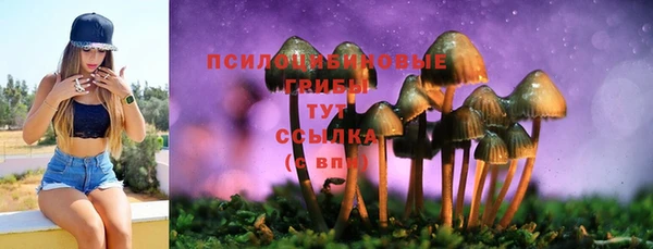 метамфетамин Армянск