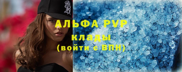 прущие грибы Арсеньев