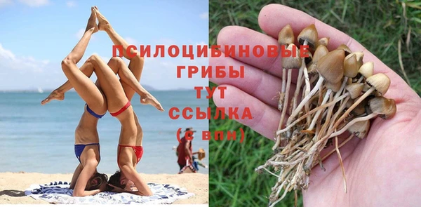 прущие грибы Арсеньев