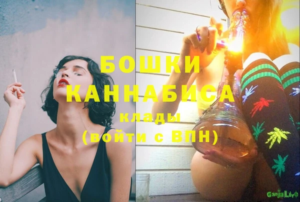 молекула духа Аркадак